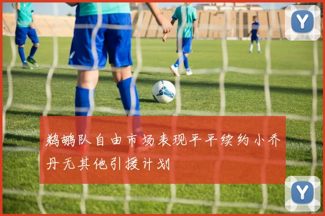 鹈鹕队自由市场表现平平续约小乔丹无其他引援计划